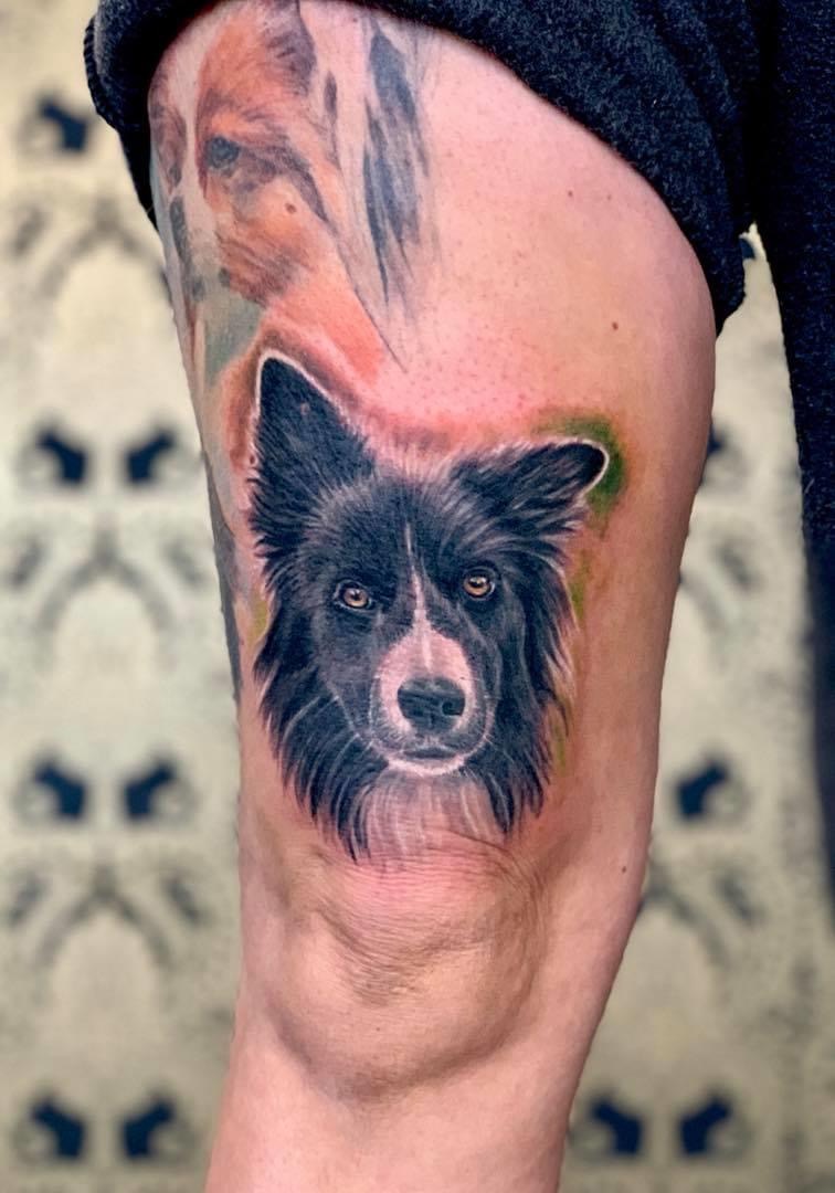 Realisztikus border collie portré tetoválás