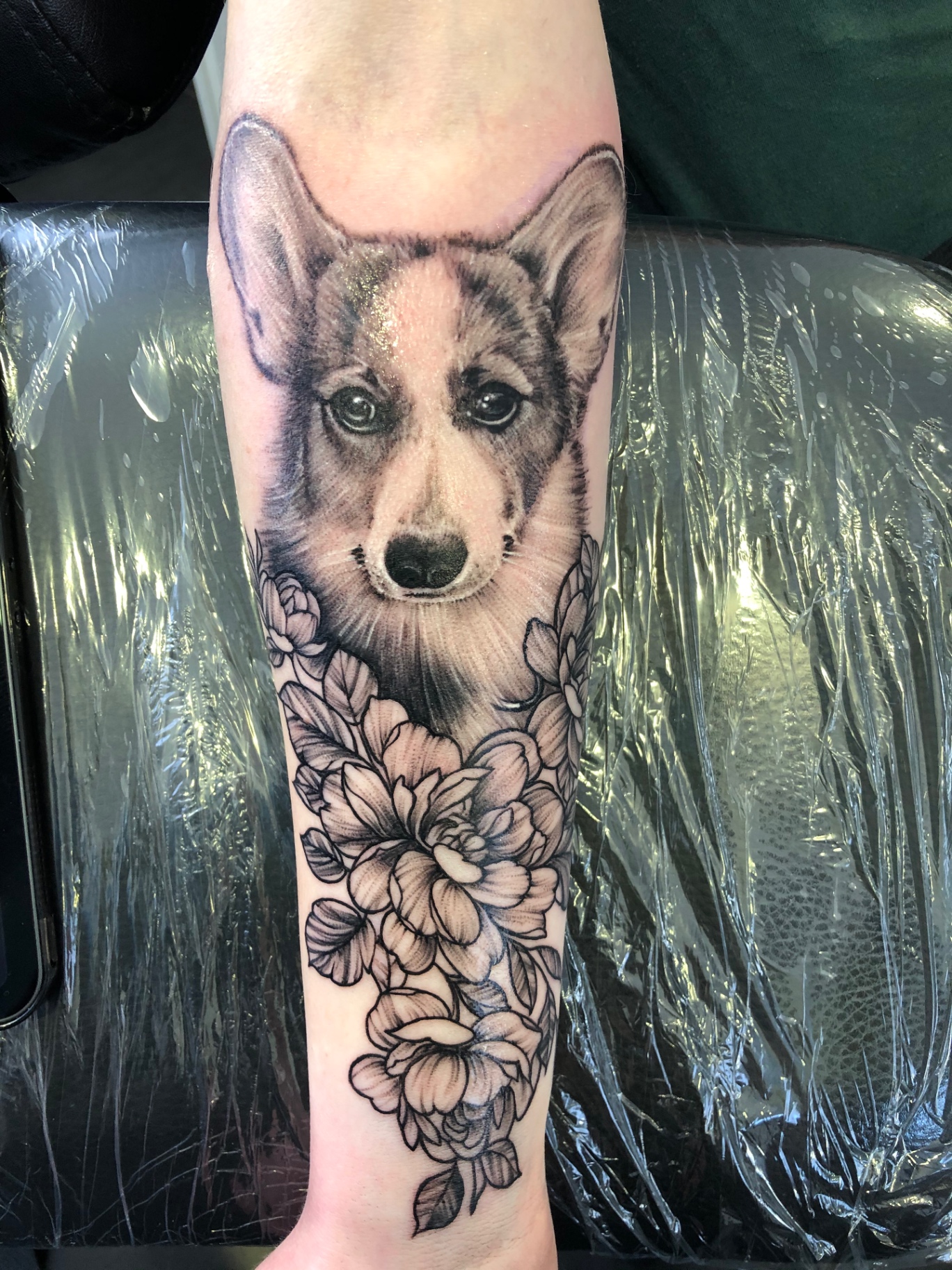 Corgi portré virágokkal