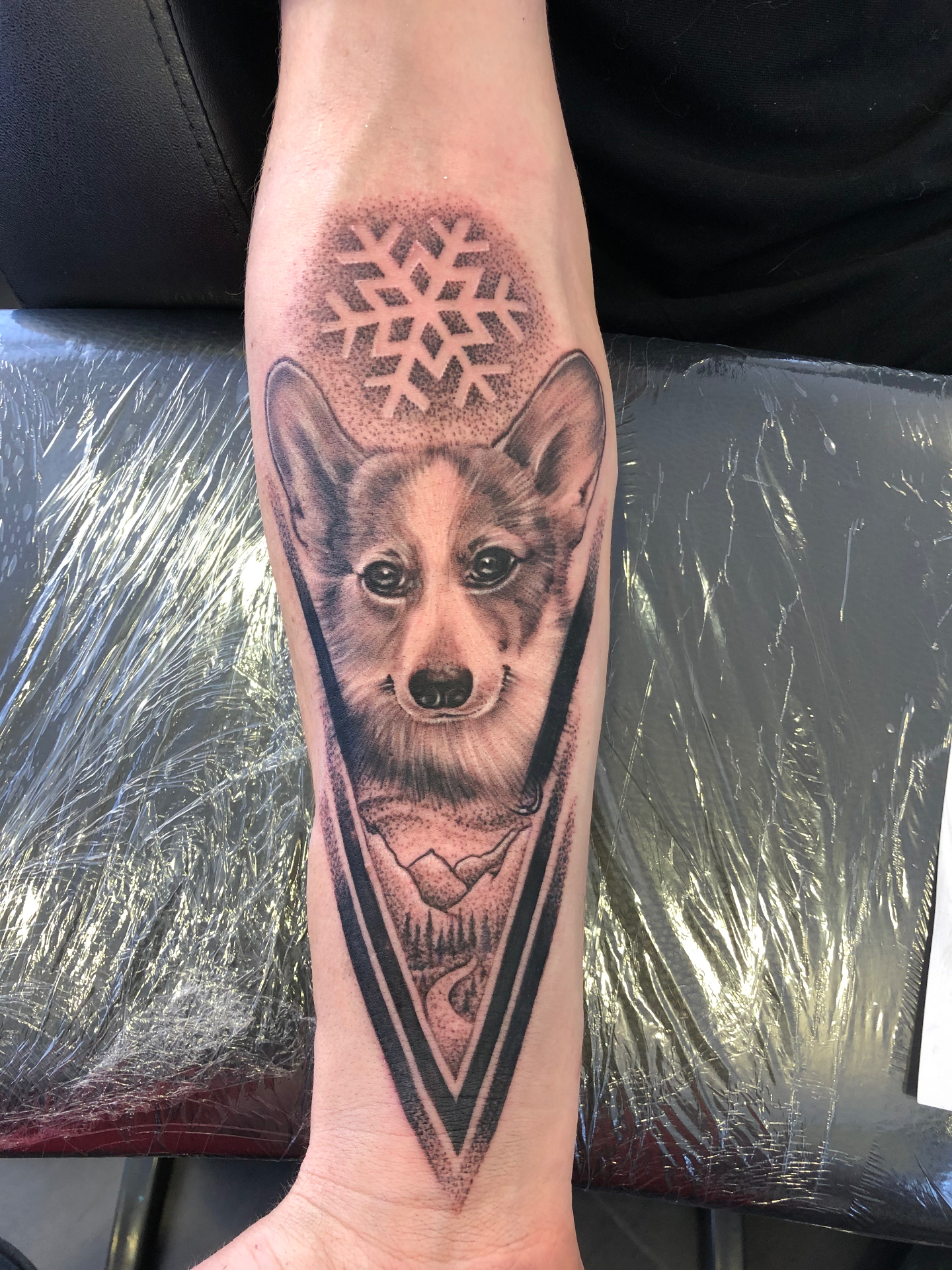 Corgi portré hópehellyel és hegyekkel