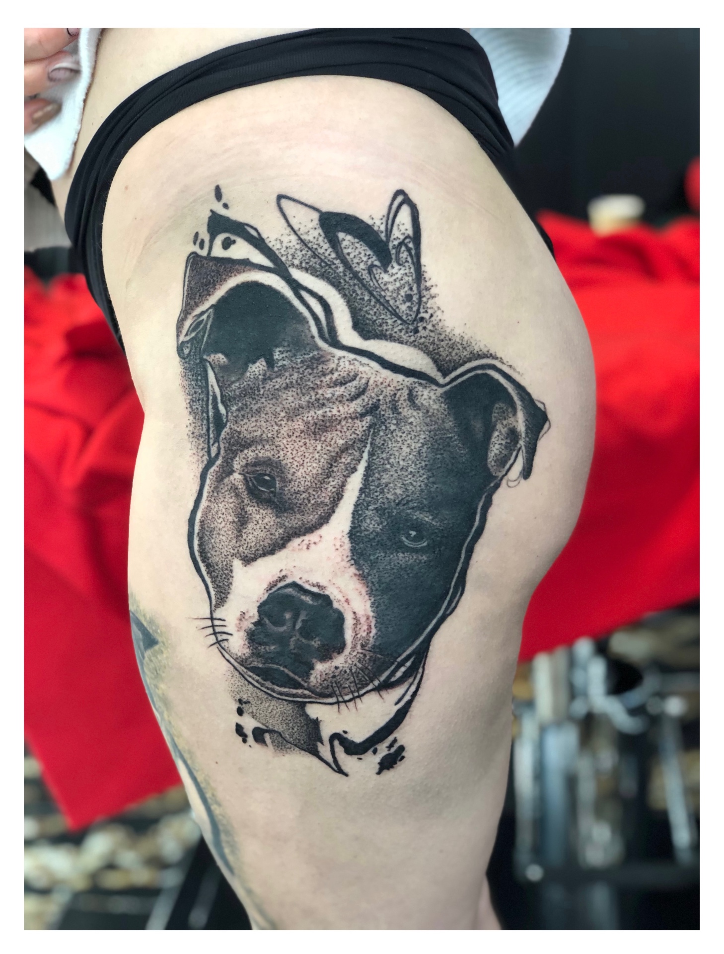 Pitbull portré dotwork tetoválás csípőn